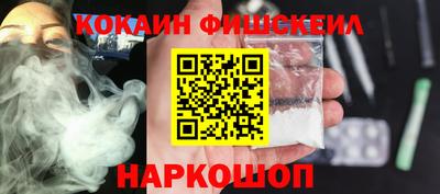 крисы Камышлов