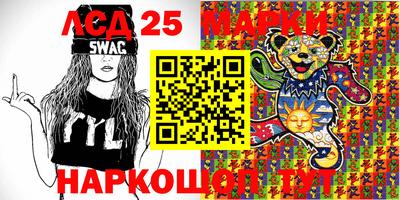 прущие грибы Кандалакша