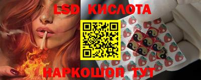 крисы Камышлов