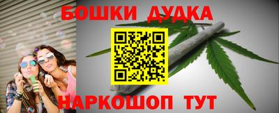 крисы Камышлов