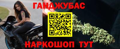 прущие грибы Кандалакша