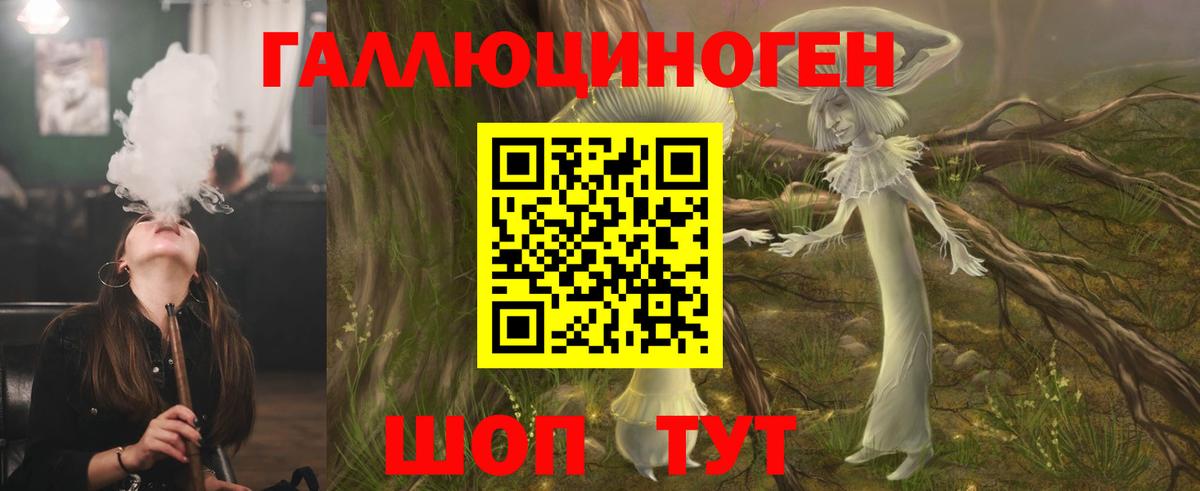 Вятские Поляны  Галлюциногенные грибы MAGIC MUSHROOMS  Вход с VPN 